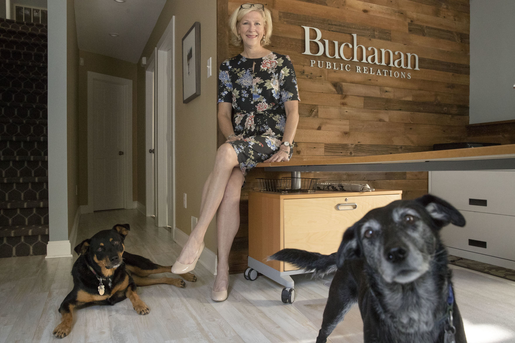 SmallBiz-Small Talk-Pets at Work